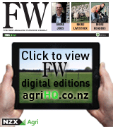 NZFW